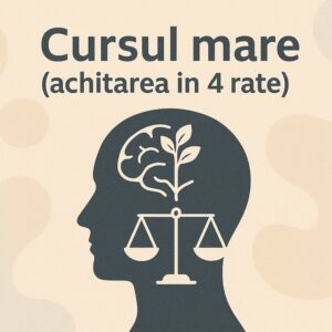 Cursul mare (achitarea în 4 rate)